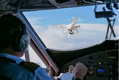 Dronai juoda musė, šiuos dalykus žinai?